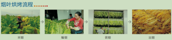 煙草烘干機工作原理